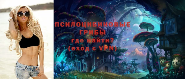 тгк Абаза